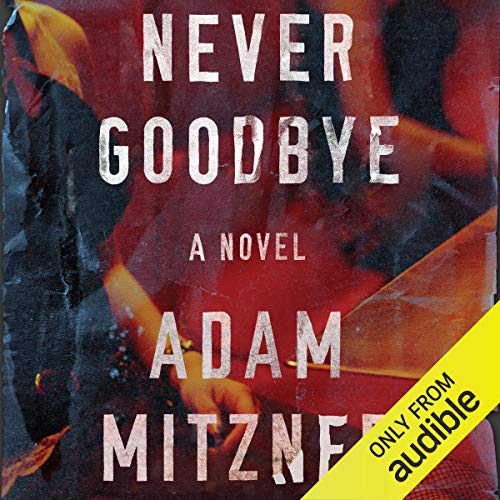 Never Goodbye by Adam Mitzner Becky's Books